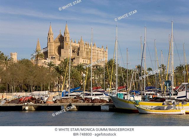Fishing boats in the harbour and La Seu Cathedral, Palma, Majorca, Balearic Islands, Spain