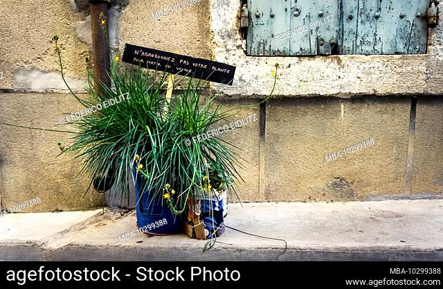 Don't leave your plant to travel, title of an installation in Bize Minervois
