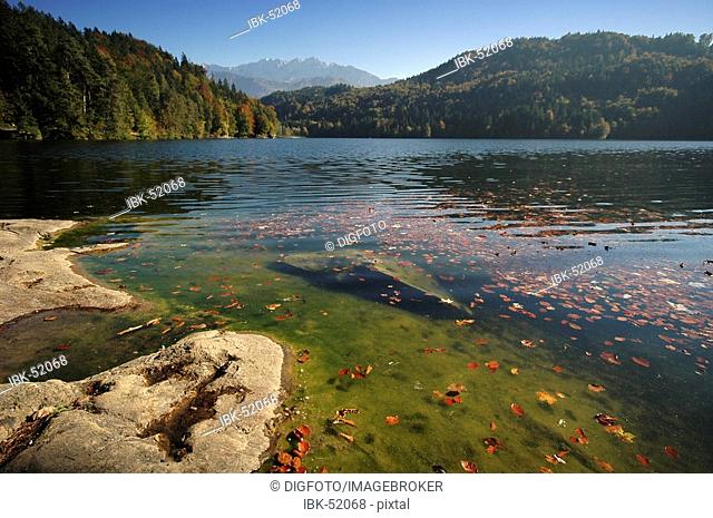 Hechtsee in autumn, view onto Kaisergebirge, Tyrol, Austria