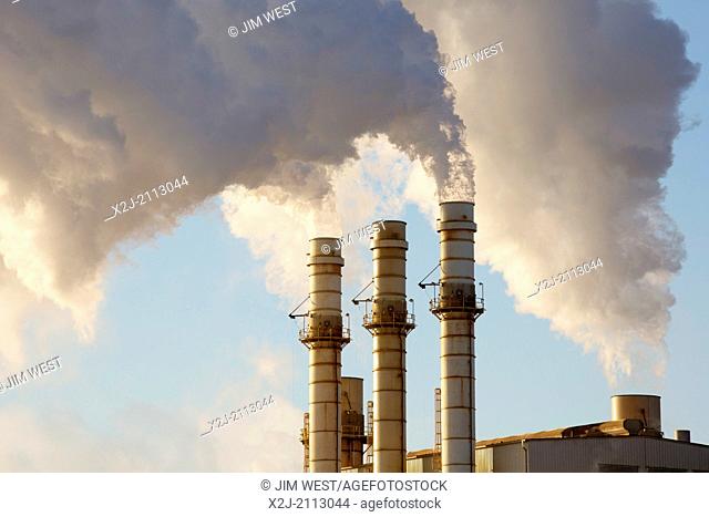 Detroit, Michigan - The Dearborn Industrial Generating Station, operated by CMS Energy, provides steam and electricity for Severstal Steel and Ford Motor...