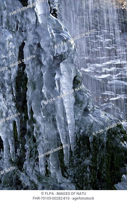 Icicles hanging from frozen cliff waterfall, Kimmeridge, Dorset, England, december