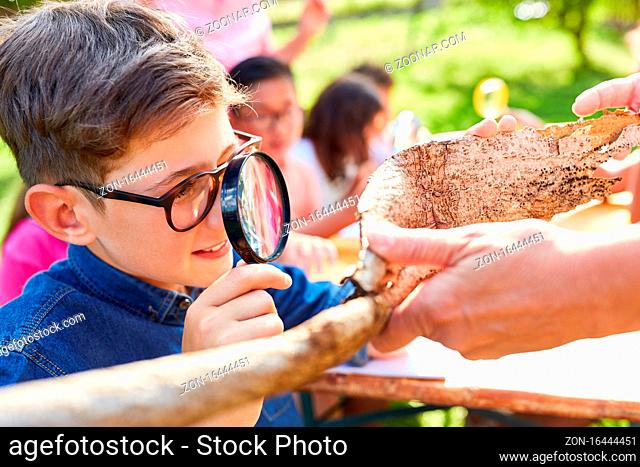 Junge schaut interessiert Baumrinde mit Lupe an in Umweltschutzprojekt im Ferienlager