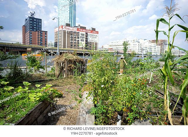 The Smiling Hogshead Ranch, an urban farm in Long Island City in Queens in New York.The small community farm which has been squatting on a disused Metropolitan...