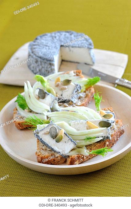 Fennel and goat cheese toast