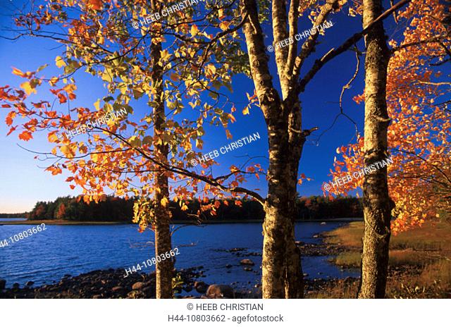 Autumn, Canada, North America, America, coast, Kejimkujik, national park, nature, novelties Scoria, park, scenery, l
