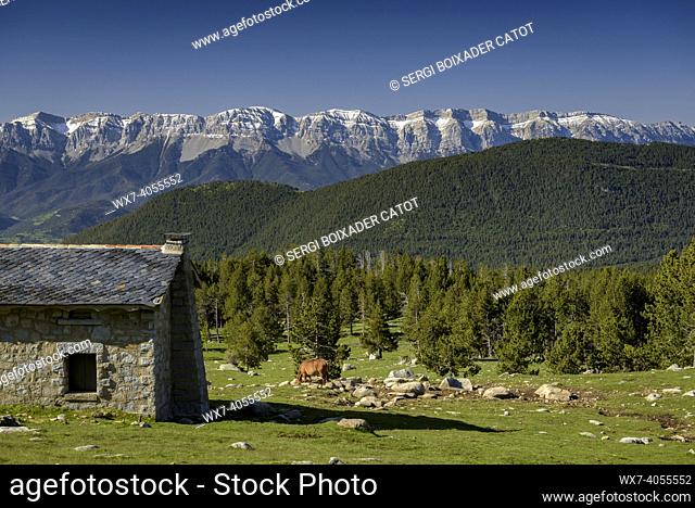 Pradell refuge in spring. In the background, the Serra del Cadí mountain range (Cerdanya, Catalonia, Spain, Pyrenees)