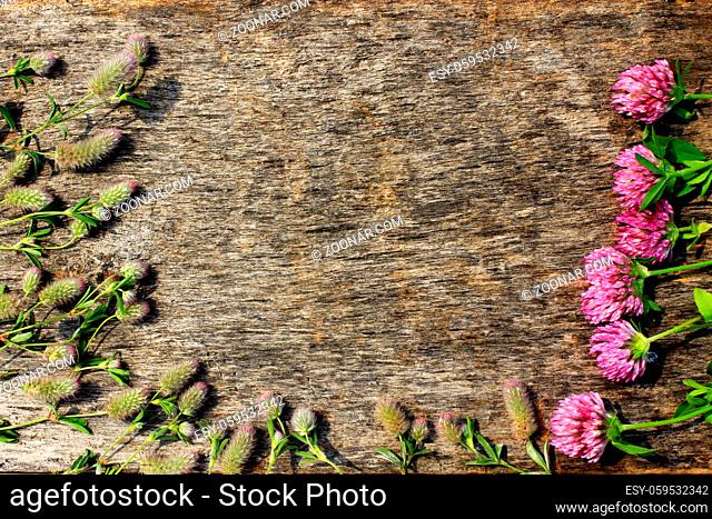 decoration with red clover flowers like a frame on the grey wooden background