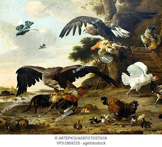 Melchior de Hondecoeter. eagles attacking chickens. 1673. XVII century. Flemish school. Paris Louvre Museum