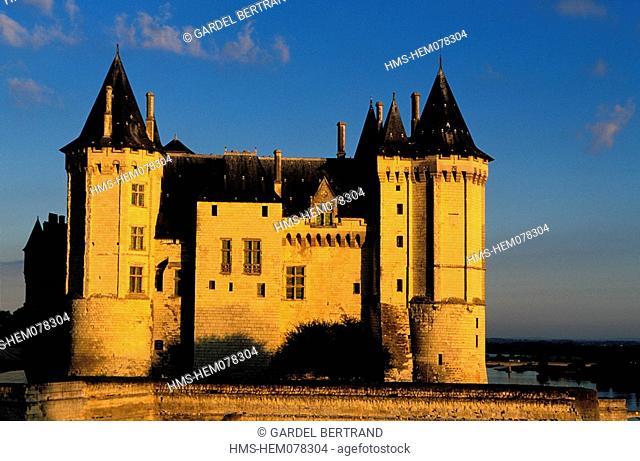 France, Maine et Loire, Saumur castle dominating the Loire river in the early morning