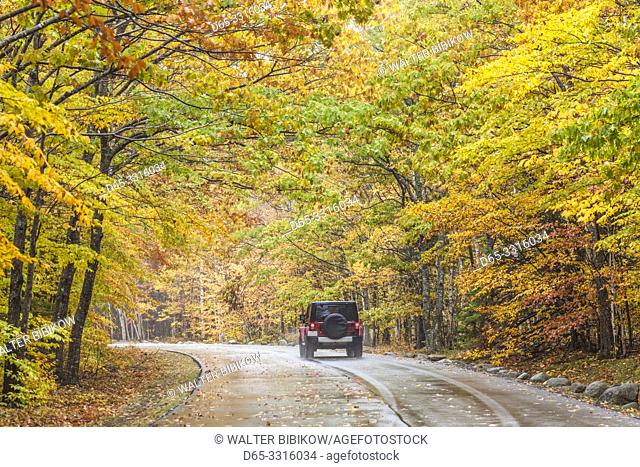 USA, Maine, Mt. Desert Island, Acadia National Park, autumn, park road