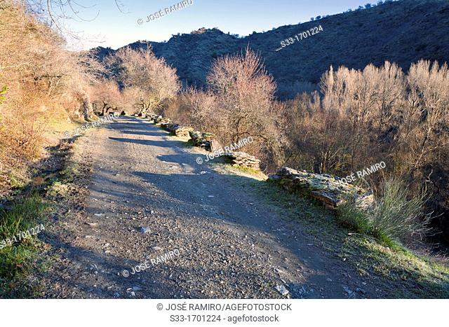 The Canal de la Parra road in the Lozoya gorge  Sierra Norte  Patones  Madrid  Spain