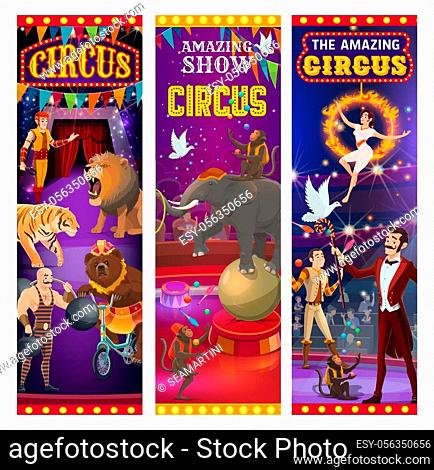 Circus entertainment show banners, wild animals tamer with lion in fire ring and elephant balancing on ball. Vector retro vintage big top circus muscleman