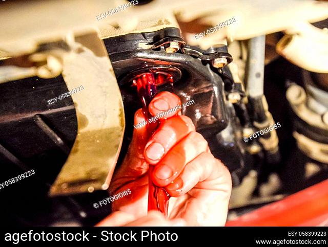 Oil change in automatic transmission. Filling the oil through the hose. Car maintenance station. Red gear oil. The hands of the car mechanic in oil