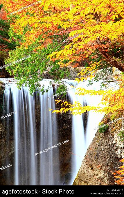 Autumn colors, Nagano Prefecture, Japan