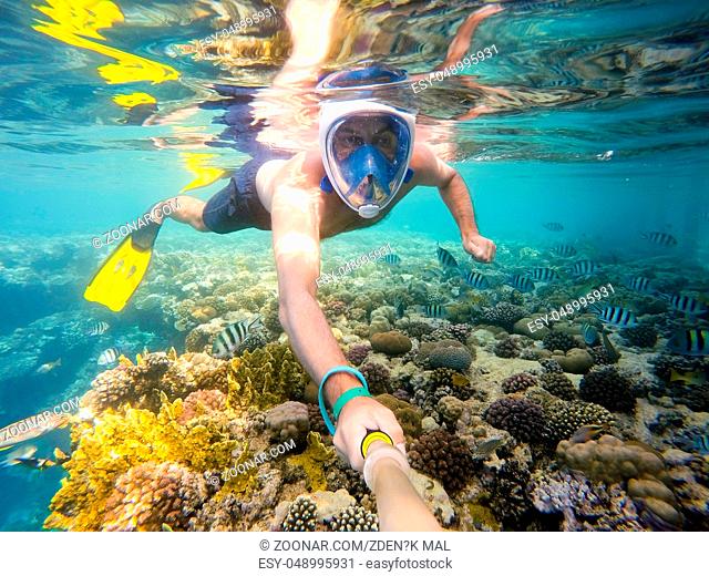man snorkel in underwater exotic tropics paradise with fish and coral reef, beautiful view of tropical sea. Marsa alam, Egypt