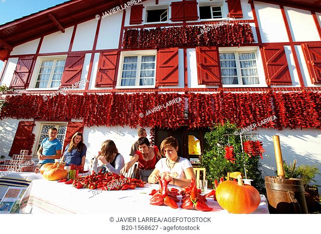 Espelette Peppers, Chili peppers left to dry at the walls of the houses, Espelette, Aquitaine, Basque Country, Pyrenees Atlantiques, 64, France