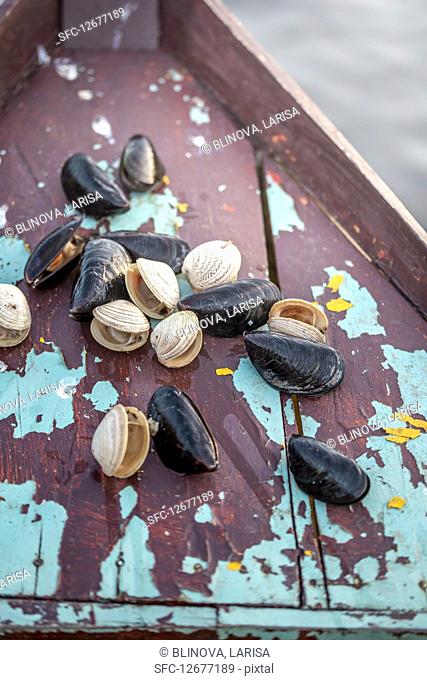 Raw clams and mussels on boat