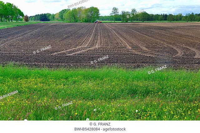 farmer working with tractor on an acre, Germany, Lower Saxony, Bremervoerde