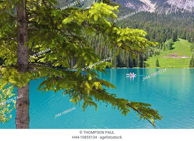 10855134, Emerald Lake, Yoho National Park, Canadi