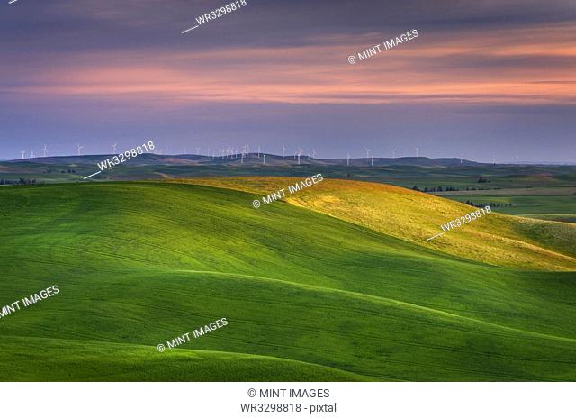 Rolling green hills in rural landscape