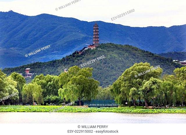 Yue Feng Pagoda Lotus Garden Willow Trees Summer Palace Beijing, China