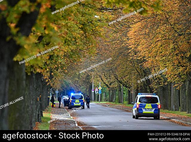 11 October 2023, Brandenburg, Forst: Illegal migrants are apprehended on a road by federal police near the German-Polish border in Forst (Lausitz)