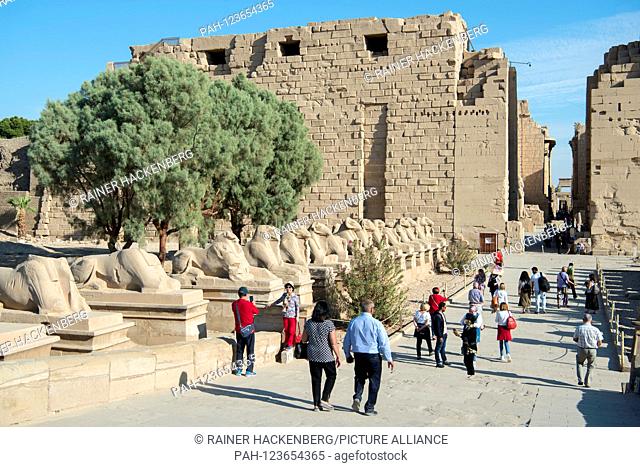 Aegypten, Luxor, Karnak-Tempel, Widdersphingen vor dem Torbau des ersten Pylons, westlicher Eingang zur Tempelanlage | usage worldwide