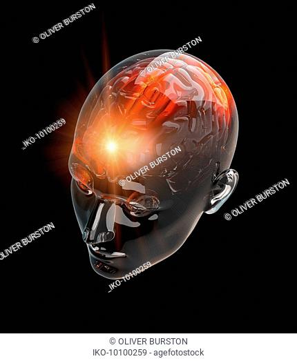 Illuminated activity from red human brain in transparent head