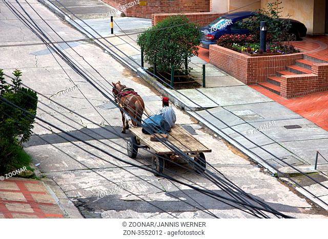 Horsecart trash collector passing through a residential street in modern-day Bogota, Colombia