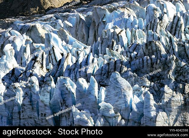 Lamplugh Glacier - Glacier Bay National Park and Preserve, near Juneau, Alaska, USA