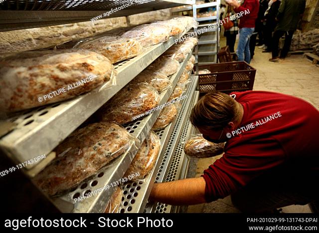 29 October 2020, Saxony-Anhalt, Halberstadt: An employee of the Halberstadt bakers and confectioners sorts fresh stollen into a shelf in the cathedral's...