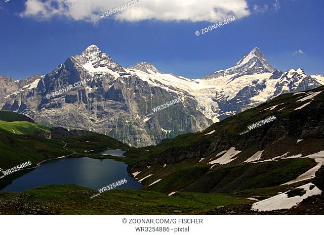 Schweizer Alpenkette mit Scheideggwetterhorn, Wetterhorn und Mittelhorn v.l.n.r., Bachalpsee im Vordergrund, Grindelwald, Berner Oberland