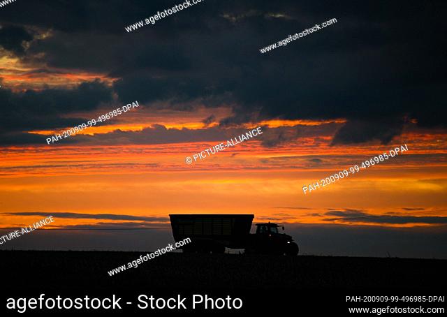 09 September 2020, Hessen, Münzenberg: A tractor is on a dirt road near Münzenberg in the Wetterau region, while the evening sky is coloured red-orange at...