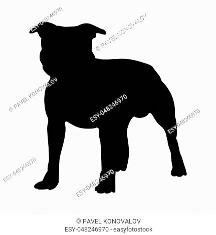 Staffordshire Terrier Dog Silhouette. Smooth Vector Illustration