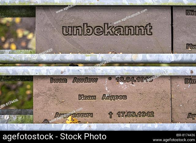 Cemetery for Soviet prisoners of war, stone tablets for partly unknown Russian soldiers of World War II, war cemetery Tannenhausen, Aurich, Lower Saxony