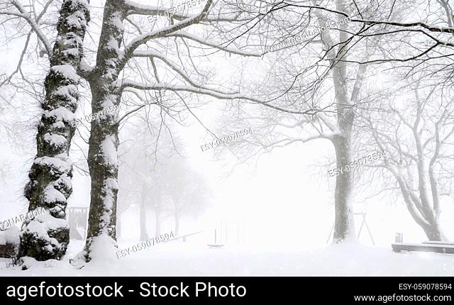 Playground and park covered in snow, with snowy tall leafless trees. Snowing winter scenery. Snowstorm in an empty park