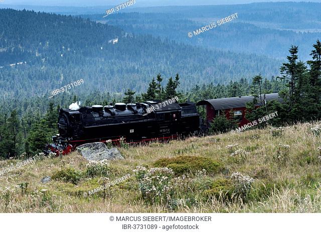 Brocken Railway, Brocken, Wernigerode, Saxony-Anhalt, Germany