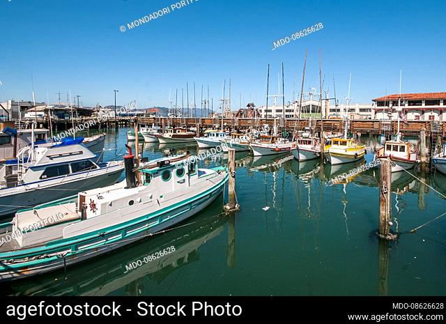 Pier 39 is a shopping mall and tourist attraction built on a pier in San Francisco, California. It was developed by entrepreneur Warren Simmons and opened on...