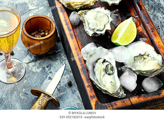 Fresh oysters in plate of ice and lemon
