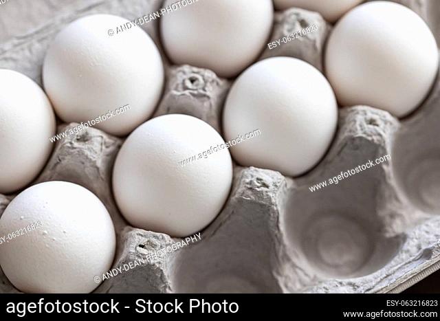 Carton of White Chicken Eggs