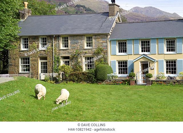 cottage, cottages, Beddgelert, Gwynedd, Snowdonia, national park, Wales, UK, United Kingdom, United, Kingdom, Great Br