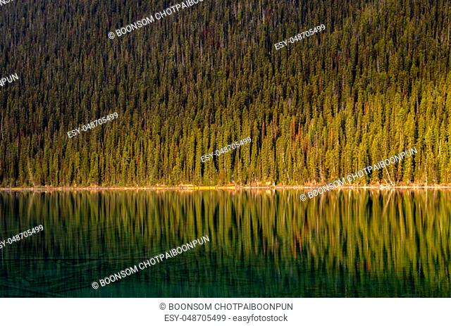 Morning sunshine view pine forest reflecion on calm emerald Lake Louise in Banff National Park, Alberta, Canada