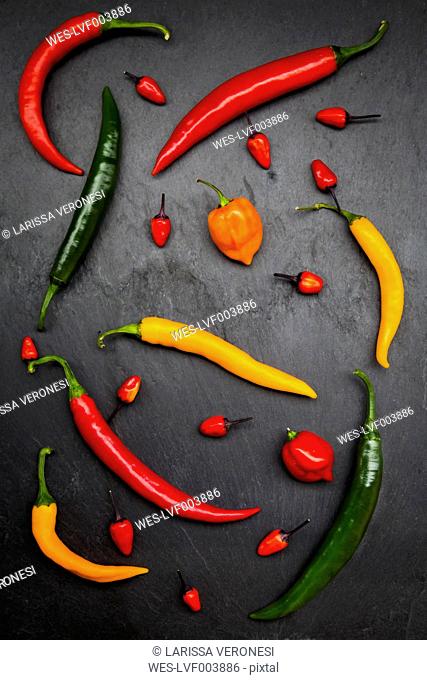 Different chili peppers on slate