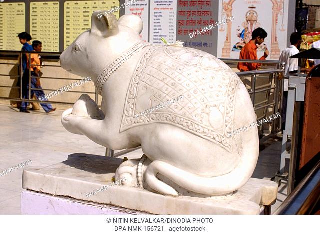 Huge marble carved mouse holding modak at Shreemant Dagdu Sheth Halwai Ganpati temple ; Pune ; Maharashtra ; India