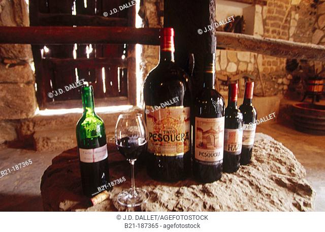 Sample of bottles of wine, Ribera del Duero. Valladolid province. Spain