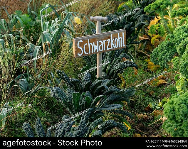 13 November 2023, Berlin: 13.11.2023, Berlin. On the grounds of an organic farming project stands a sign made from a digging fork