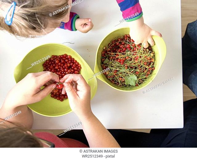 High angle view of mother and daughter separating stem from redcurrant at table