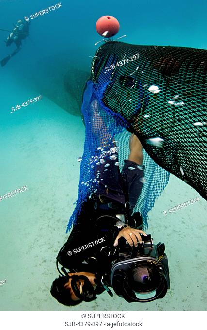 A diver films while being pulled in a trawl net. The net has a turtle exclusion device TED in place, which allows captured sea turtles to escape