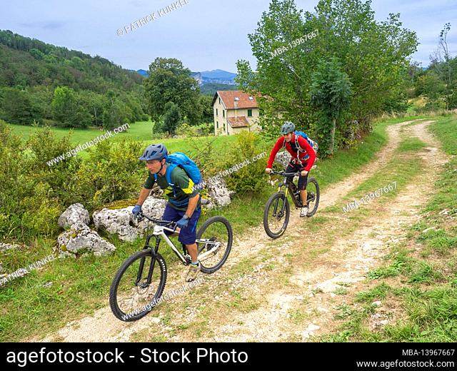 Mountain bikers on single trails in the Les Coulmes forest, Rencurel, Auvergne-Rhones-Alpes department