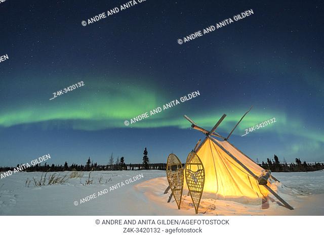 Trappers tent with snowshoes and nightsky with Aurora borealis, Northern lights, Wapusk National Park, Manitoba, Canada